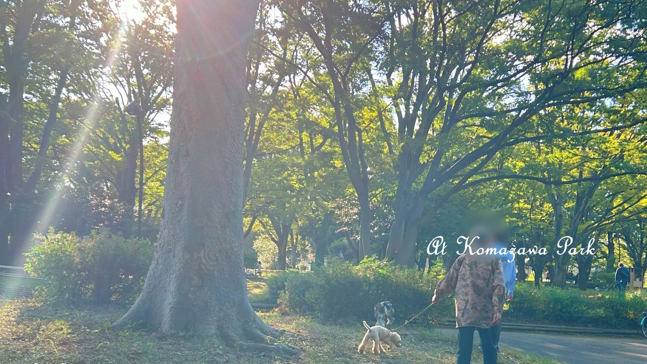 駒沢公園