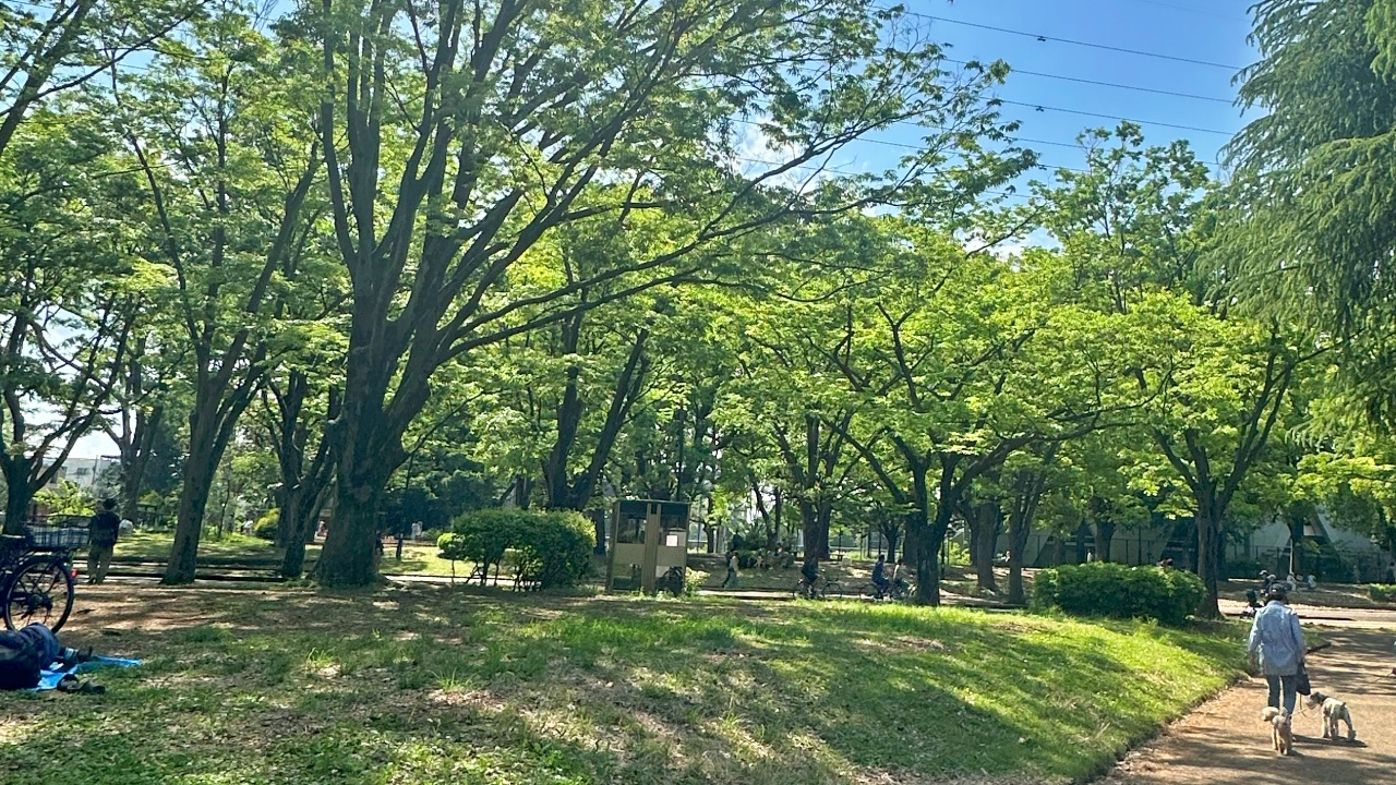 公園