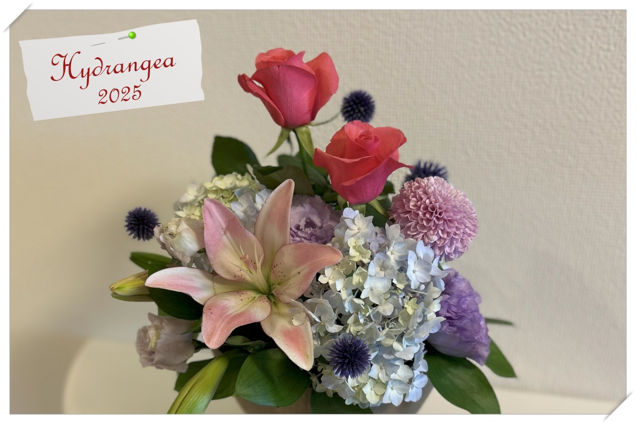 紫陽花/フラワーアレンジメント