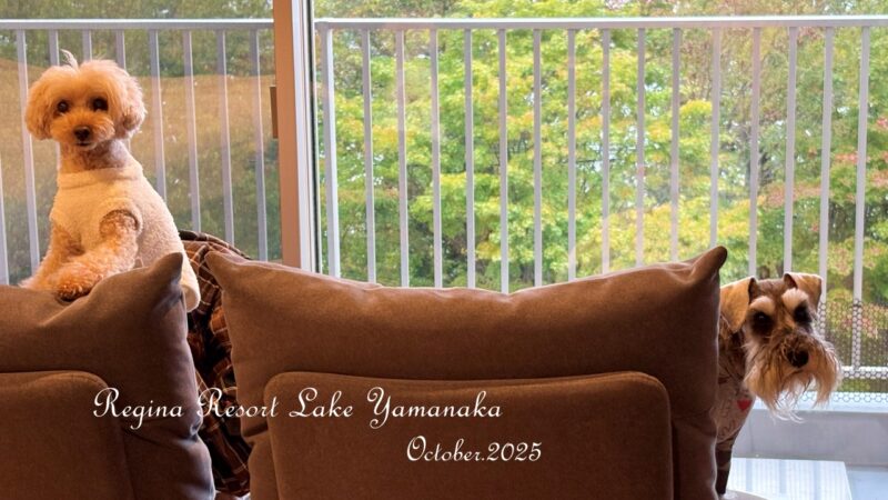 レジーナリゾート山中湖