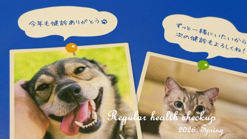 春の定期健診