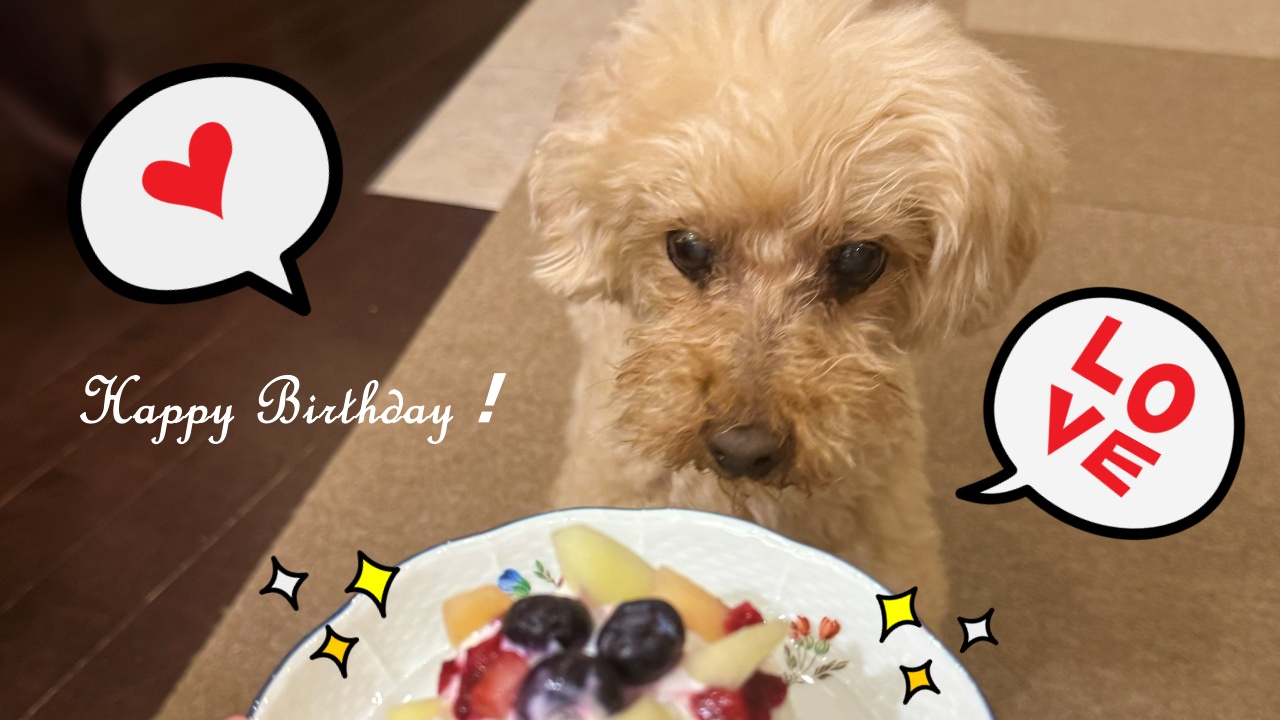 お誕生日